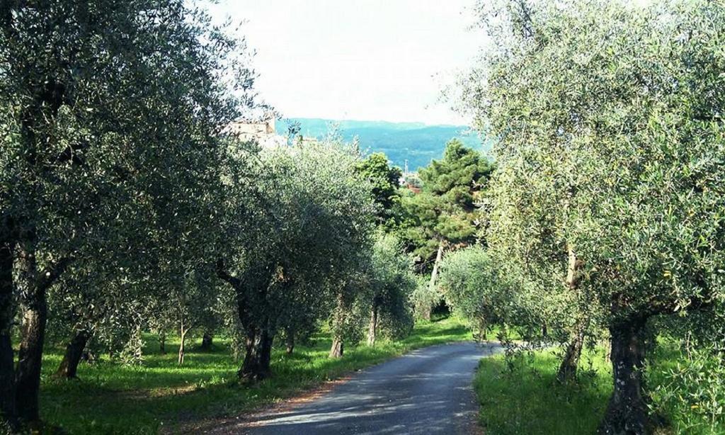 Podere Gianpaolo ペーシャ エクステリア 写真
