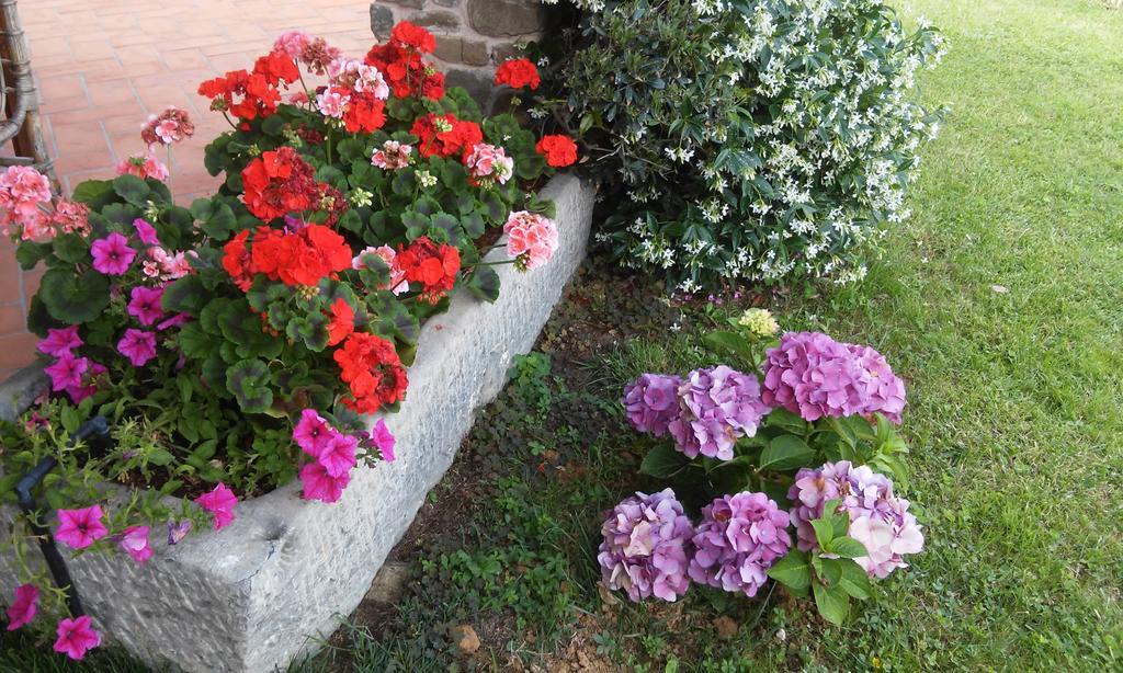 Podere Gianpaolo ペーシャ エクステリア 写真