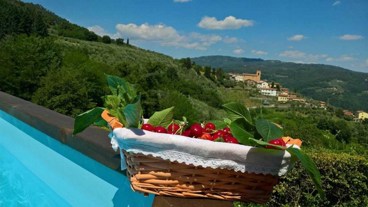 Podere Gianpaolo ペーシャ エクステリア 写真